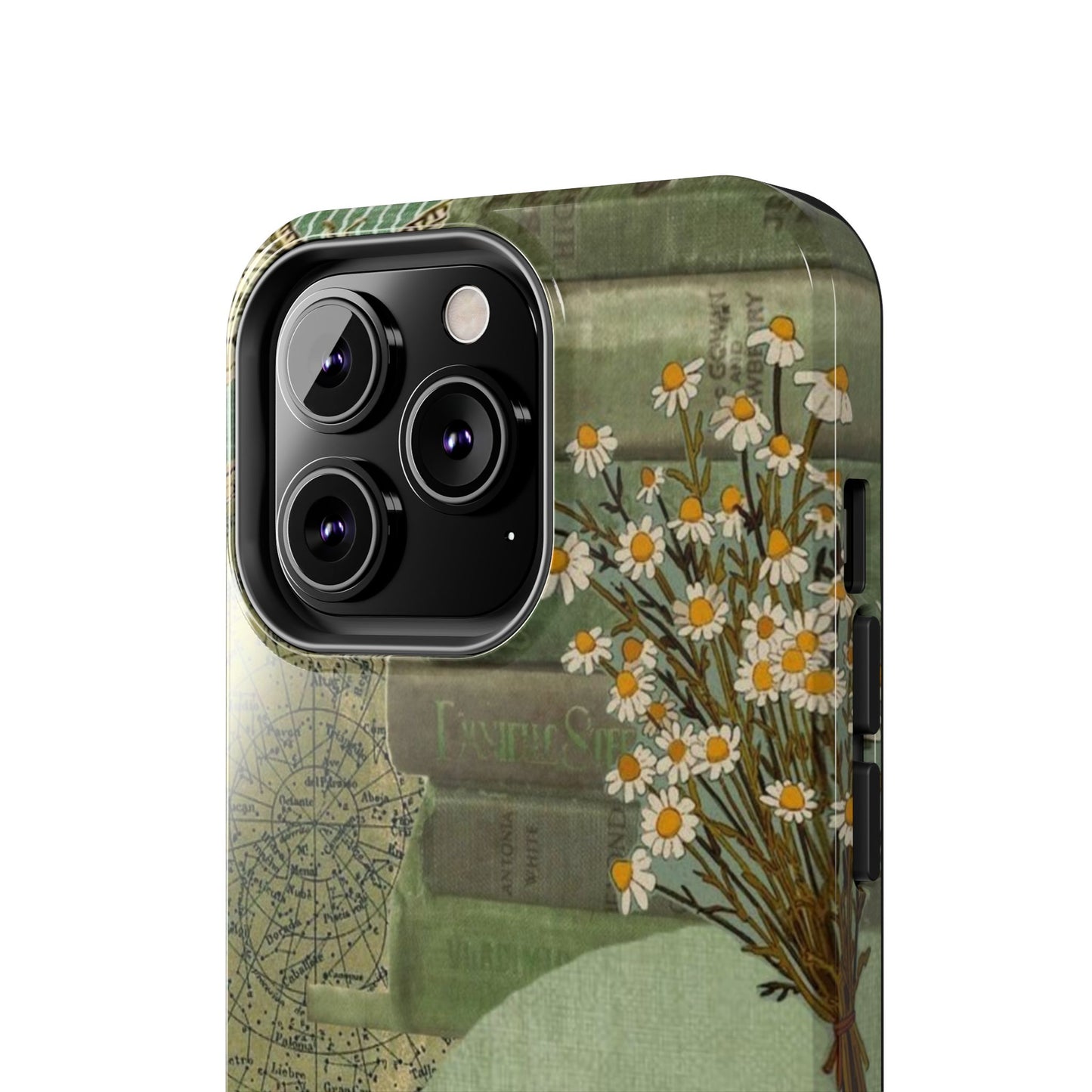 Secret Garden Case
