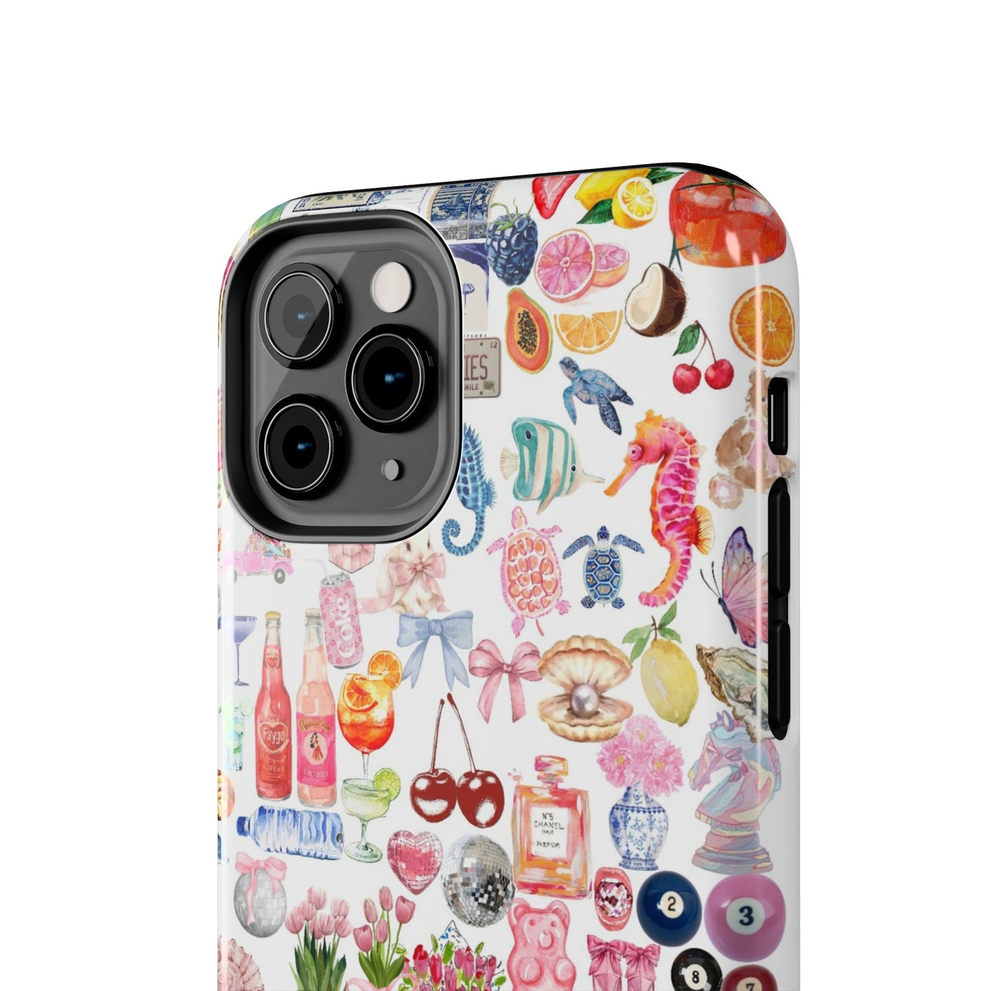 Coastal Mode Case
