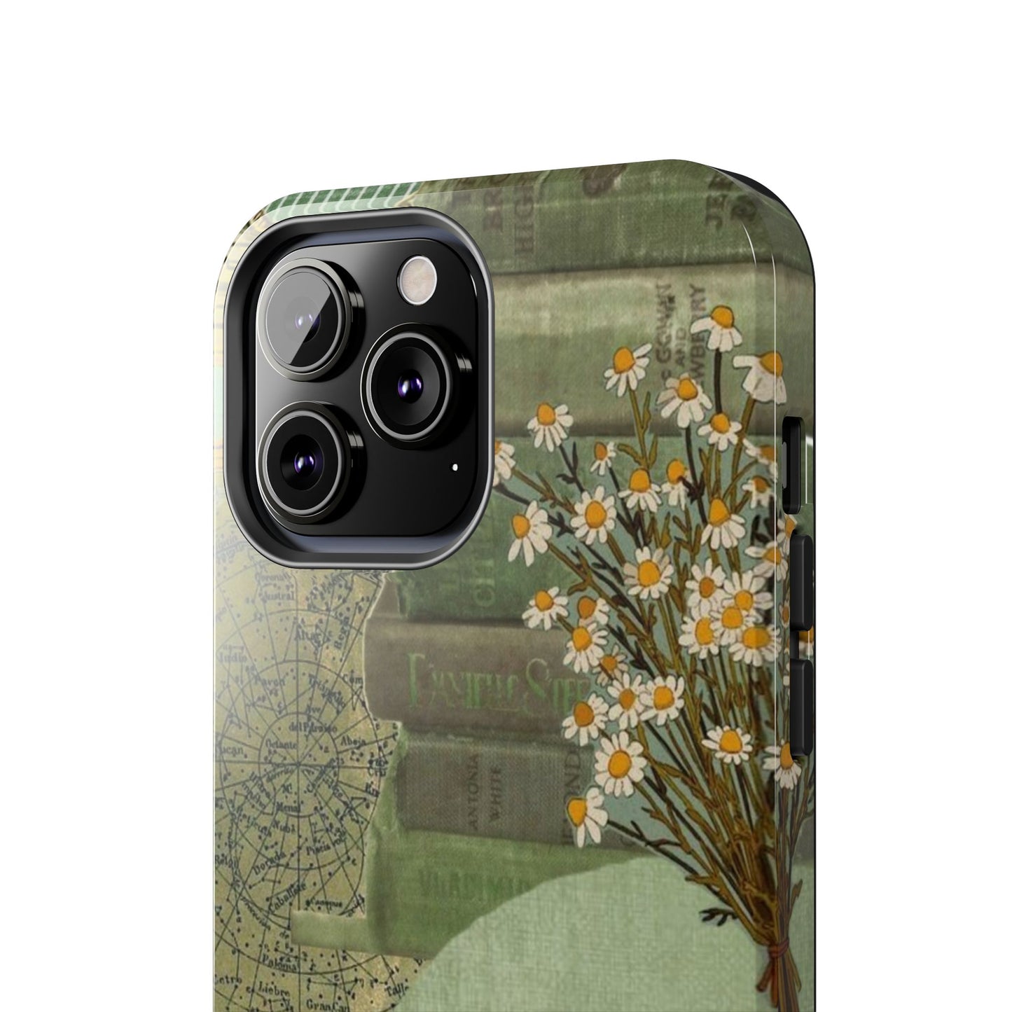Secret Garden Case
