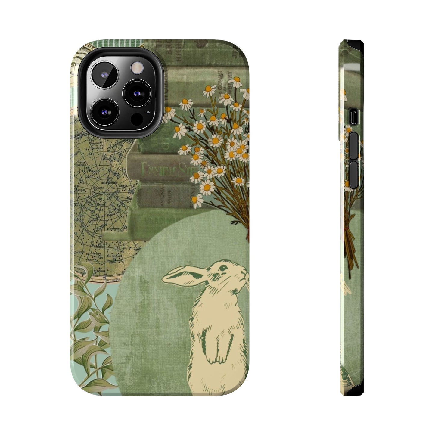 Secret Garden Case