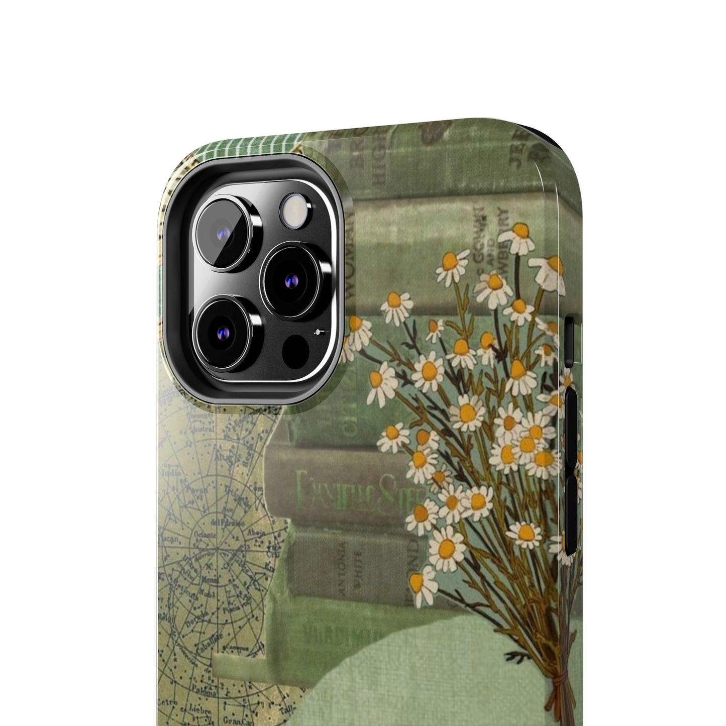 Secret Garden Case