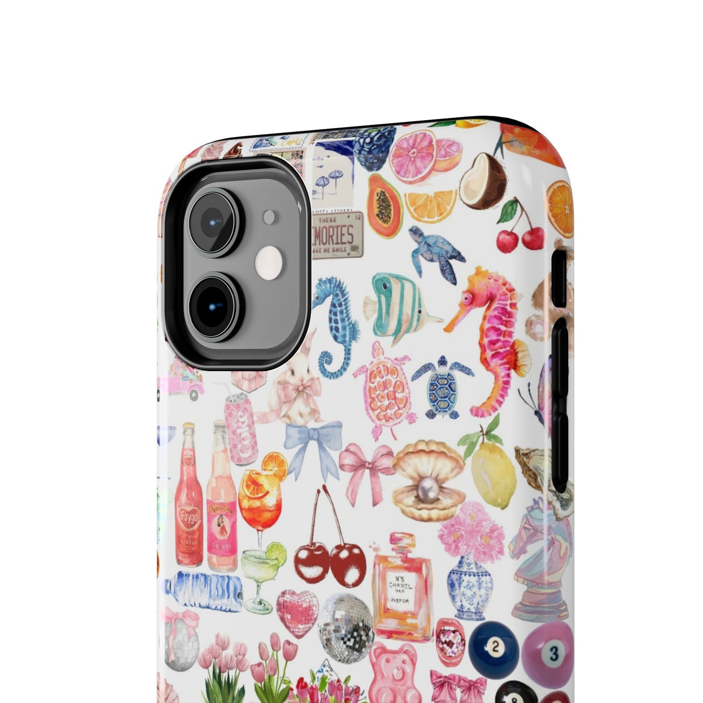 Coastal Mode Case