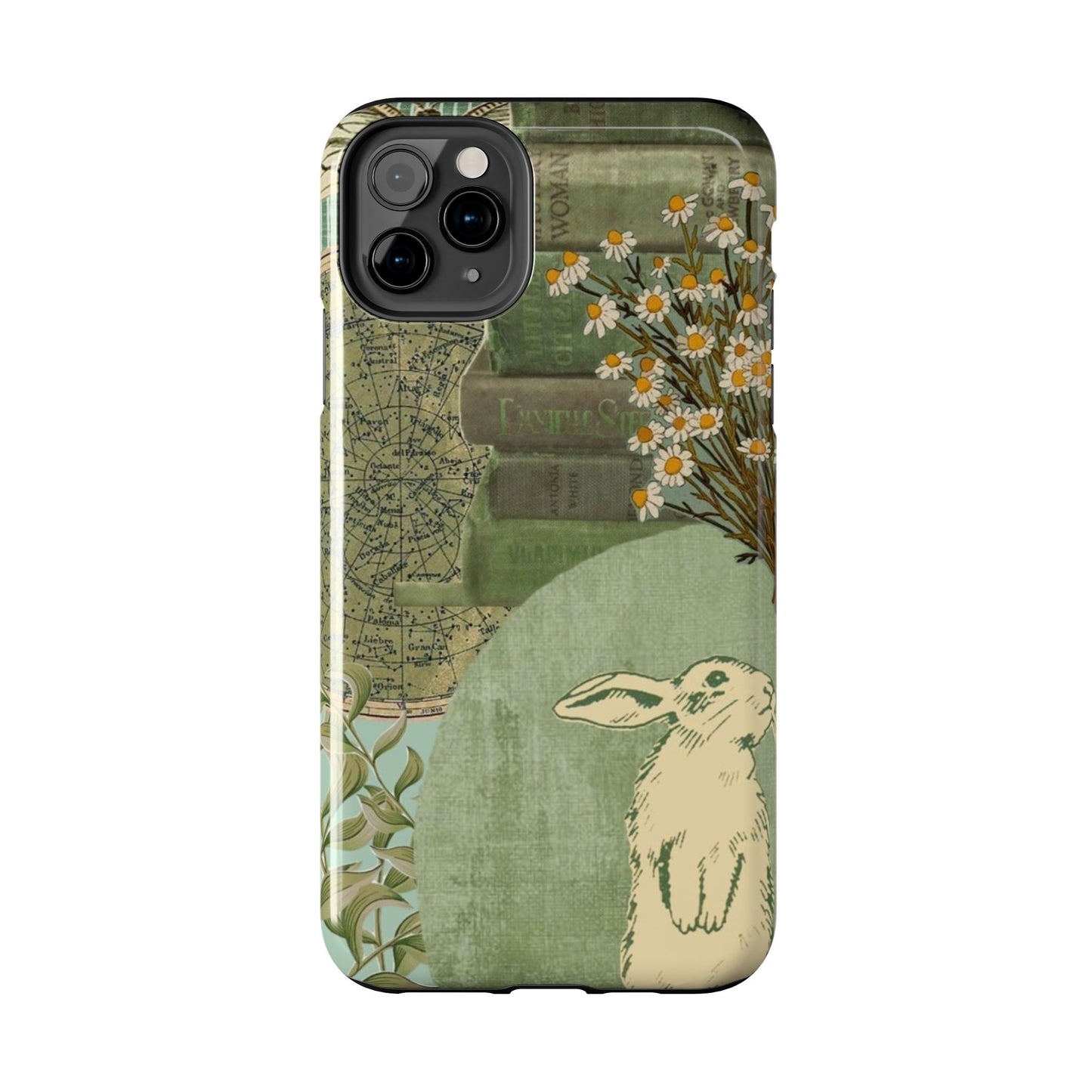 Secret Garden Case