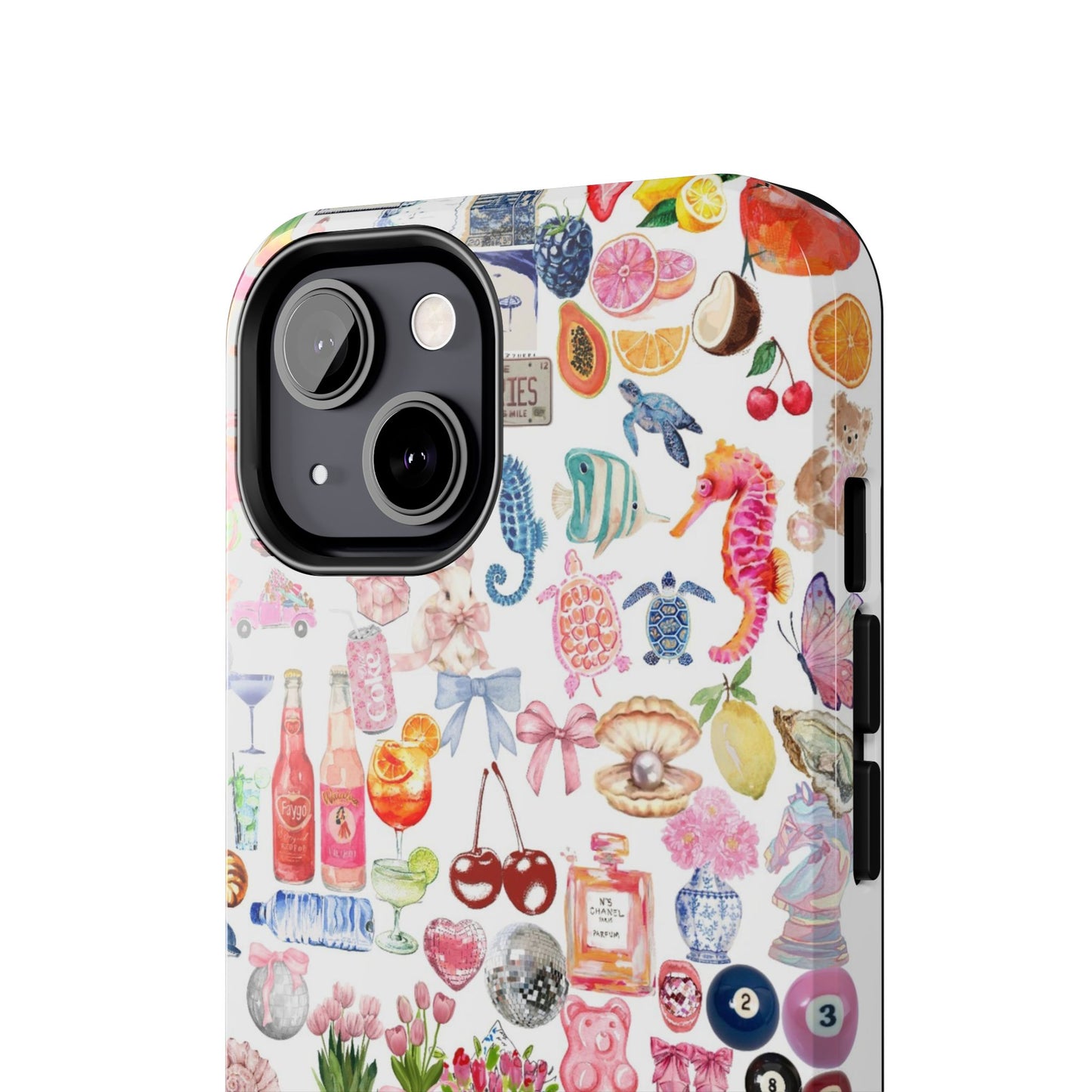 Coastal Mode Case