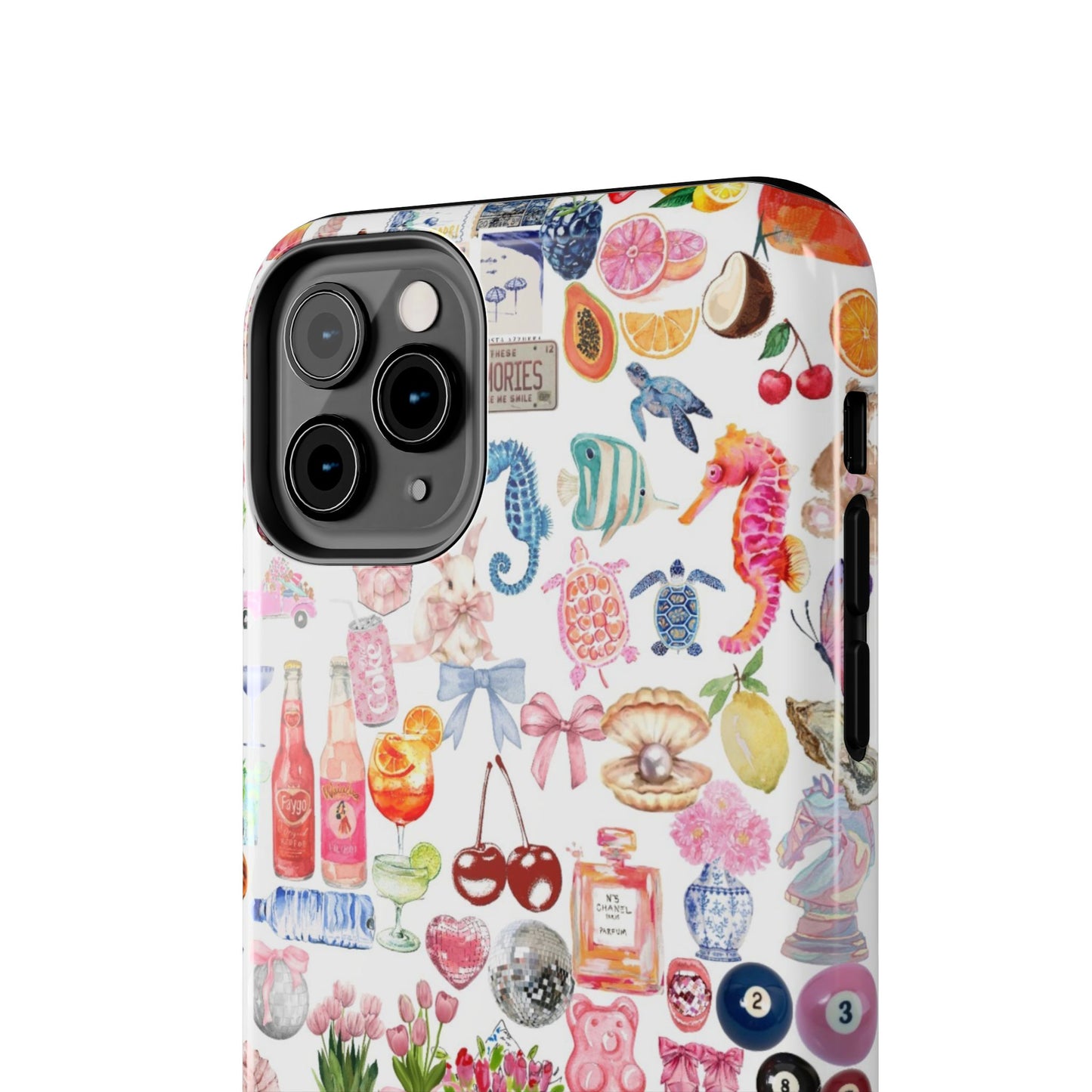 Coastal Mode Case